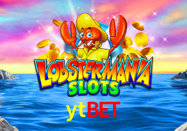 Crash Games Statistics ytbet
